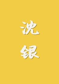 沉银拾年