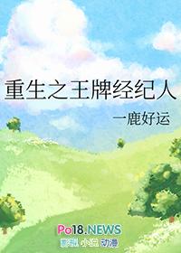 重生之王牌经纪人txt