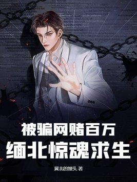 2020缅北诈骗