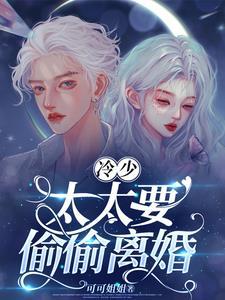 冷少太太要偷偷离婚全文阅读