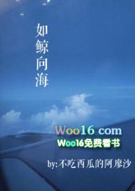 如鲸向海全诗带拼音