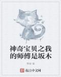 神奇宝贝之我是板木