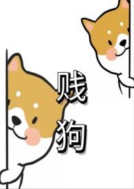 贱狗gb茶茶