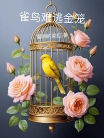 雀鸟难逃金笼番外