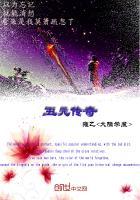 皮五传奇 电视剧