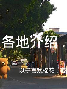 各地介绍的书籍有哪些