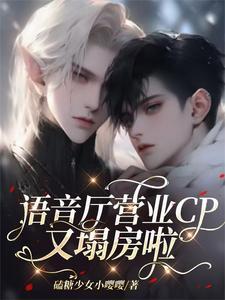 语音厅的术语