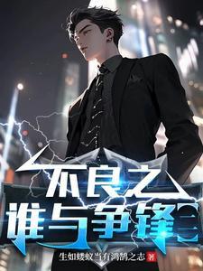 不良之谁与争锋听书免费
