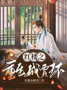 穿越红楼庶子闹红楼