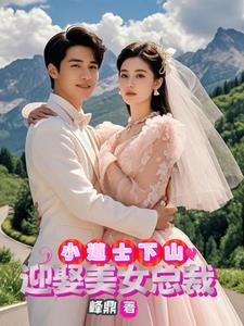 小道士下山迎娶美女总裁TXT