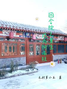 四合院之重生成为何雨柱 在线 免费