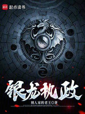 银龙银夜