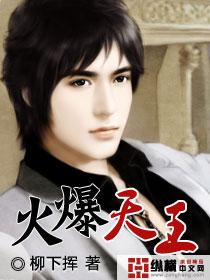火爆天王txt