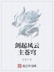 剑起风云境界