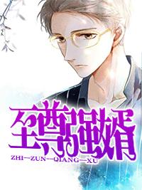 至尊强婿秦风全文免费