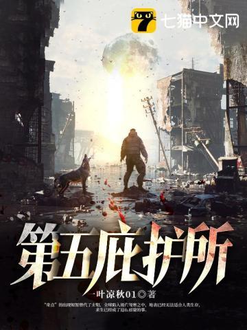 庇护所彩蛋