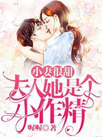 小妻太娇嫩袅爷