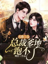 天降三宝总裁爹地拐回家百度