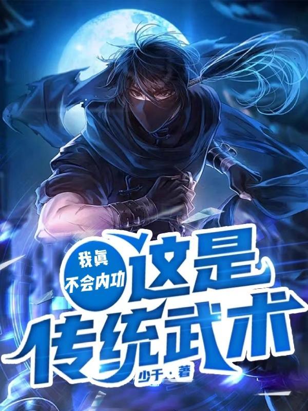 我不会武功的境界