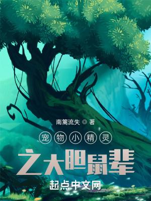 宠物小精灵之大胆鼠辈(全)