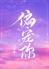 偏宠你叶云峥