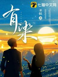 有染布料的染色剂吗