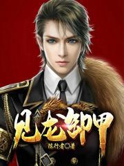 见龙卸甲演员名单