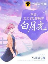 太太才是那晚的白月光全集