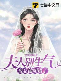 免费夫人别气我