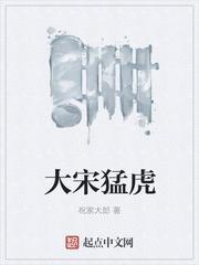 大宋猛虎之甘其