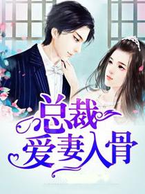 总裁爱妻入骨飞也是
