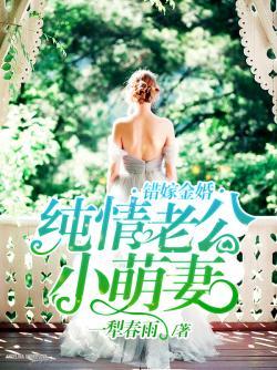 豪门小萌妻陶乐乐