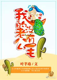 我的老公没有毛免费阅读