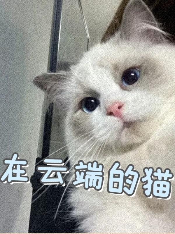 在云端是什么歌