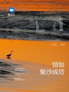 我也是一缕微光作文