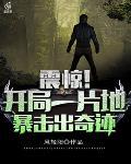 震惊!开局一片地