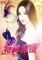 最强特种保镖叶龙全文阅读