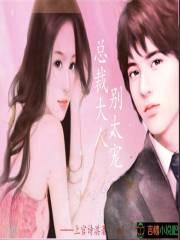 总裁大人别太宠全文免费阅读