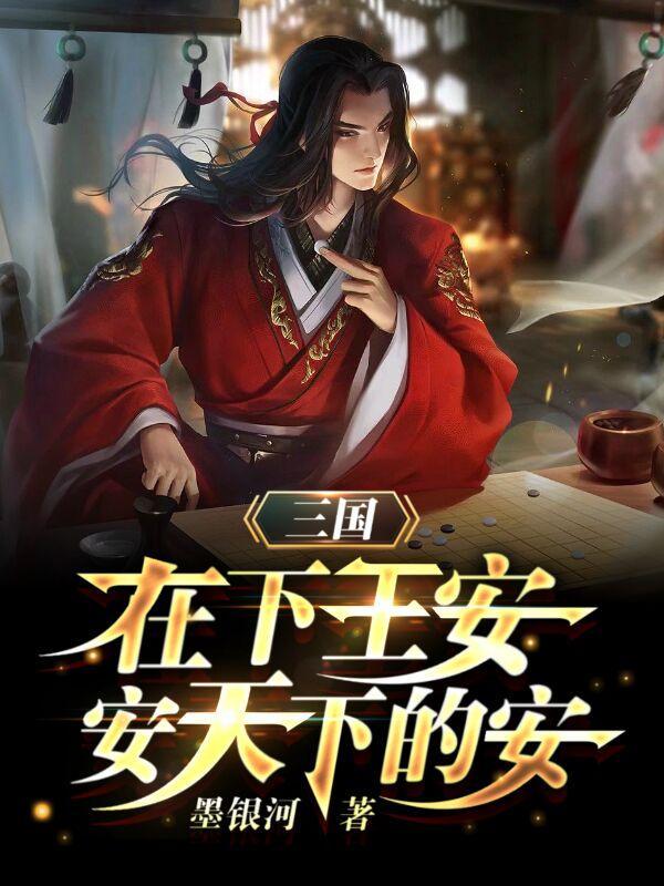 三国在下王安安天下的安