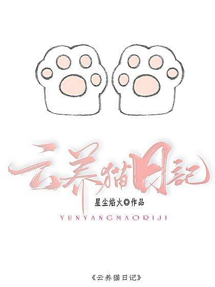 写养猫的日记