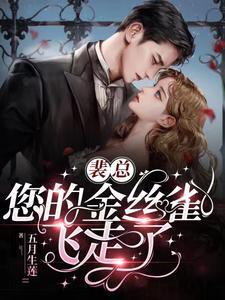 养了八年的金丝雀飞走了TXT