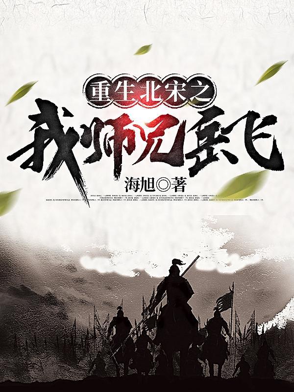 大宋之岳飞重生