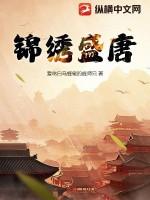 锦绣盛唐百度百科