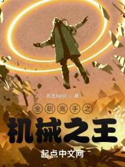 全职高手之系列