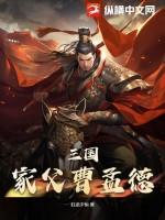 三国之伞华家父袁绍