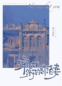 宋小姐终于钓到了老婆gl晋江