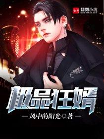 极品狂婿林隐张琪沫
