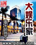 大娱乐家综艺不播了吗