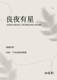 良夜是什么意思