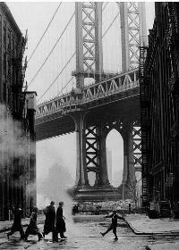 首辅家的锦鲤妻丛月txt